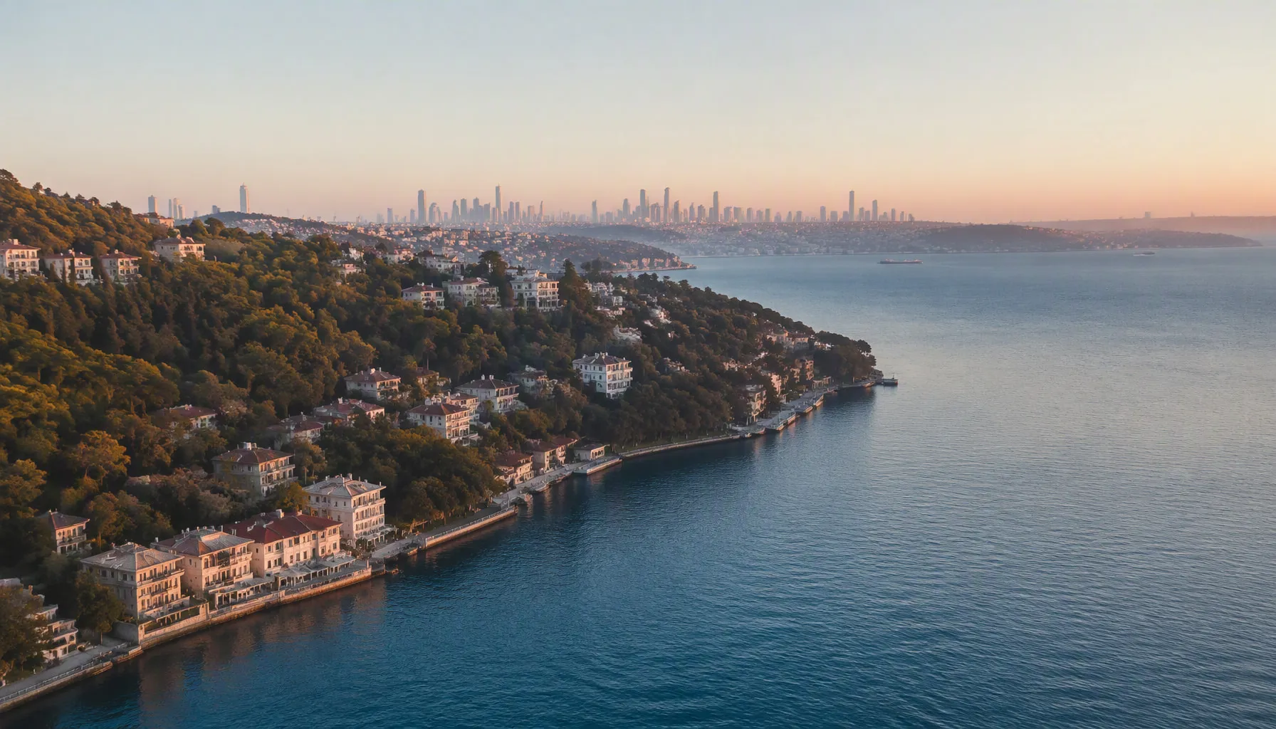 Sarıyer kıyı şeridi ve ormanın havadan görünümü
